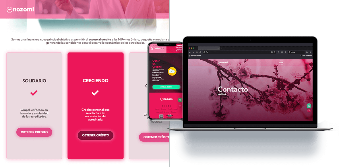Desarrollo web para bancos o financieras